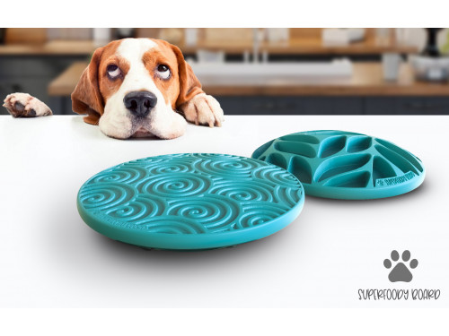 Calling all pet product designers for a new innovative dog feeding board.